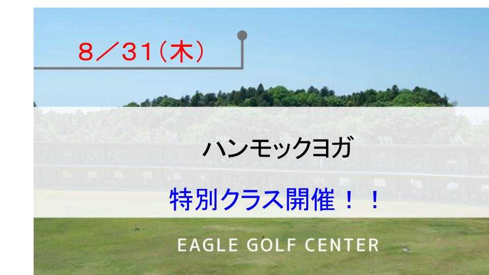 ハンモックヨガ　特別クラス開催のお知らせ！