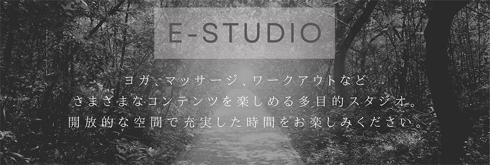 E-STUDIO